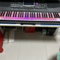 出售科音pa900电子琴